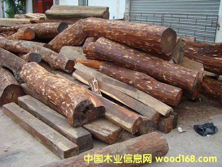 �M�ږ|�ρ��R����/��˼ľacaciaԭľľ���M�ڈ��P(gu��n)��Ԕ����B