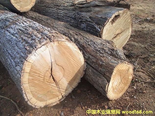 �M(j��n)�������mݗ����/�ڂ���/ˮɼ/���~��ԭľ�M(j��n)�ڈ�(b��o)�P(gu��n)