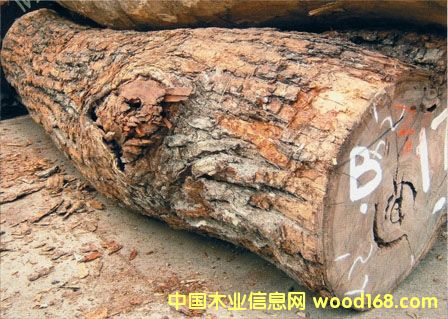 �M���������ô���ľ/�Fɼ/����ľԭľ�M�ڈ��P