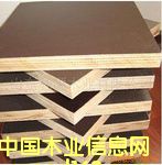 �����谷��(x��)ľ�����Ԕ��(x��)��B