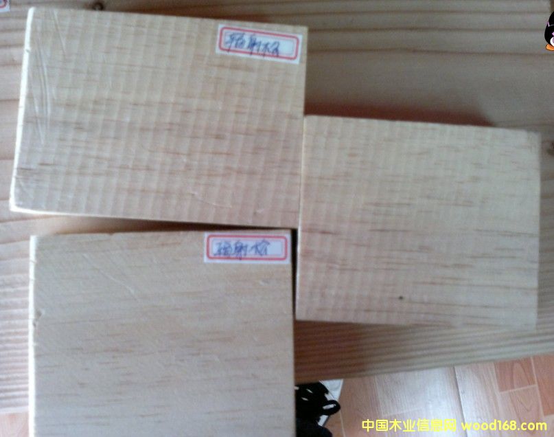 �����mݗ����