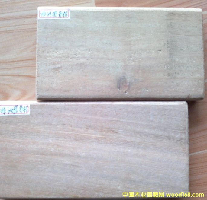 ���޲��}��