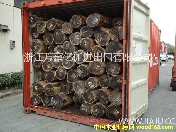 ����֦����~�S̴��Ԕ����B