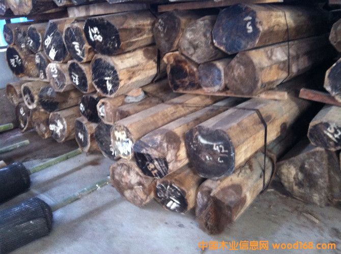 ��~�S̴������֦����Ԕ����B