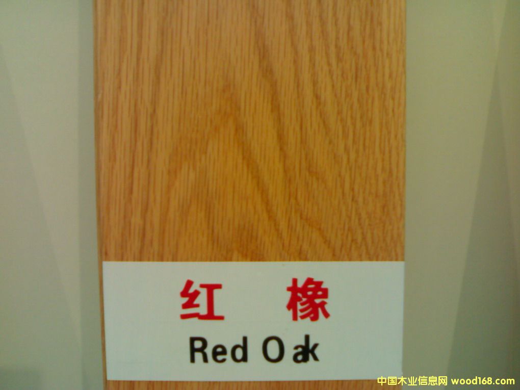 �����t��ľ��Ԕ��(x��)��B