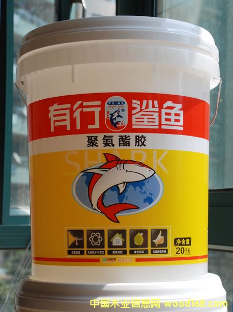 ��ľƴ���z��Ԕ��(x��)��B