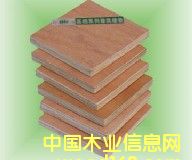 ���Ӱ��Ԕ����B