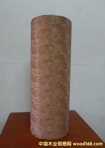 ����ţƤ����Ԕ��(x��)��B