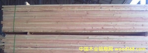 �����ɵ�Ԕ��(x��)��B