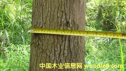 ����Ԕ����B