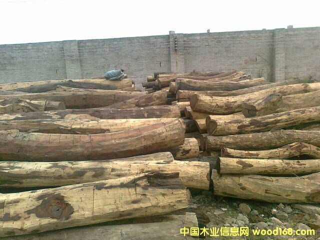 �ϓ��t��֦��Ԕ����B