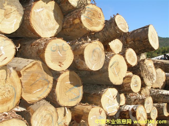 ��ľԭľ��Ԕ����B