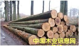 �؎X��ľԭľ��Ԕ��(x��)��B