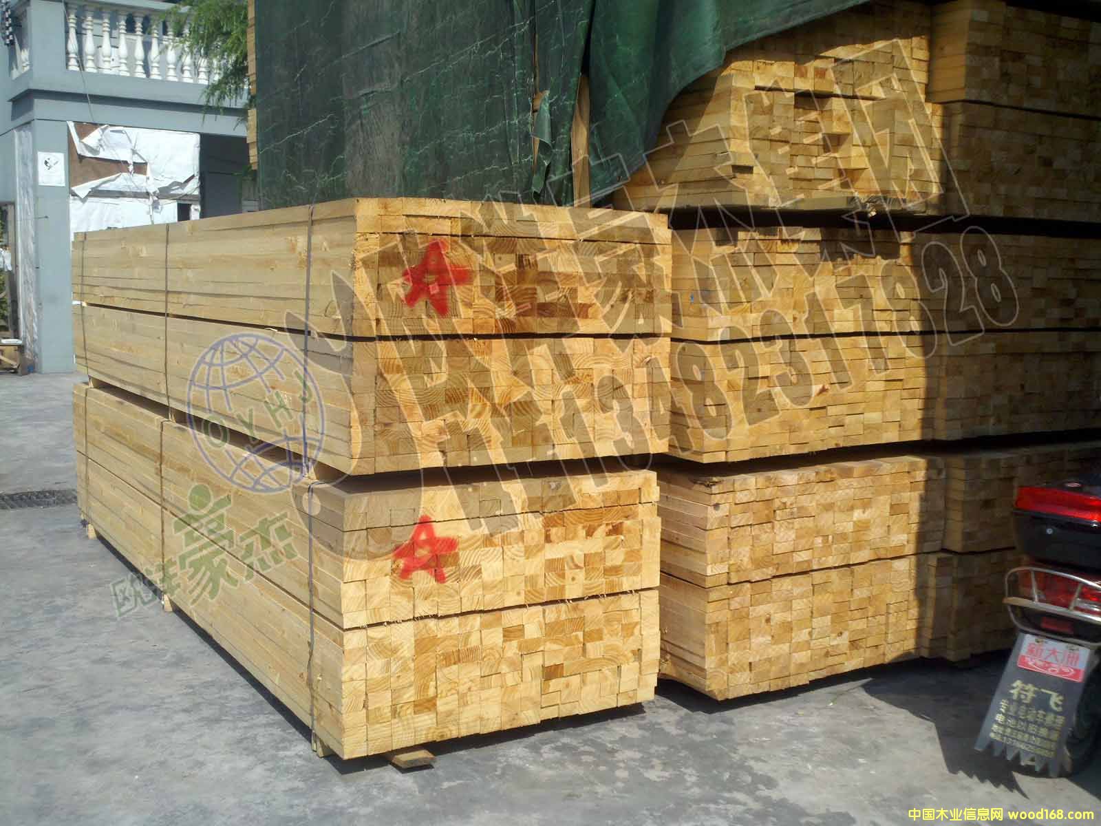 [��] �����m��ݗ���� ���60/70/80/100��ľ