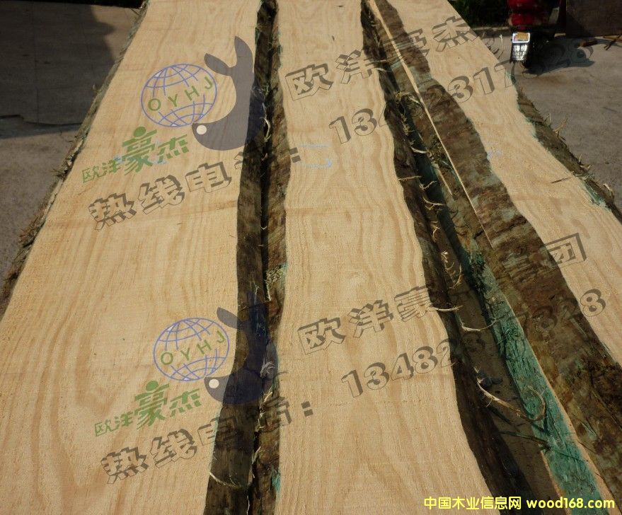 [��] ݗ����ȫ�o��(ji��)�� FSC�C�� �ٷְٟo��(ji��) �]�{׃ A��ȫ���