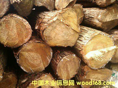 杉木原木的詳細(xì)介紹