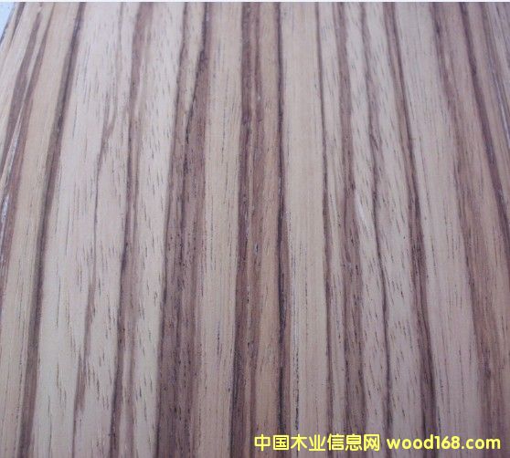 斑馬的詳細(xì)介紹