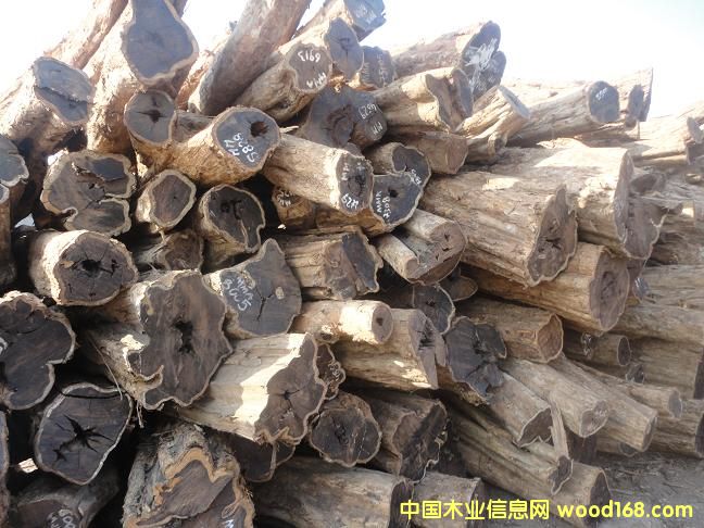 烏木的詳細介紹