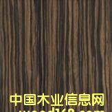 ��̴��Ԕ��(x��)��B