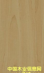 ������Ԕ��(x��)��B