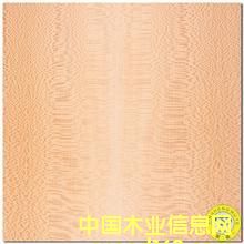 ��˹��Ԕ��(x��)��B