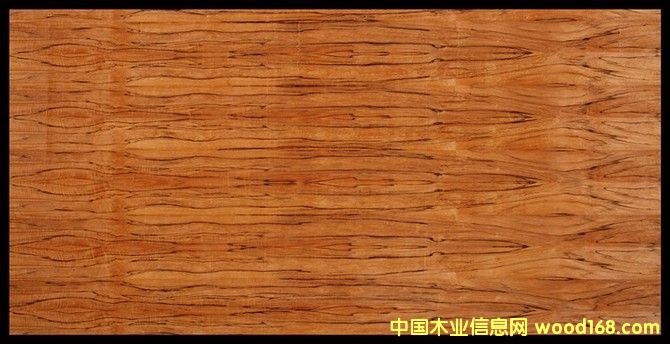 蘋果木的詳細(xì)介紹