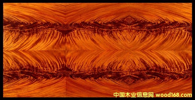 �һ�о��辵�Ԕ��(x��)��B