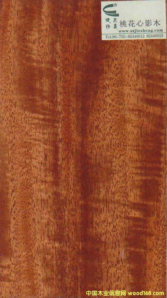 �һ�оӰľ��Ԕ��(x��)��B