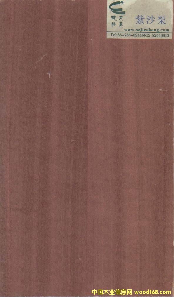 ��ɳ���Ԕ��(x��)��B