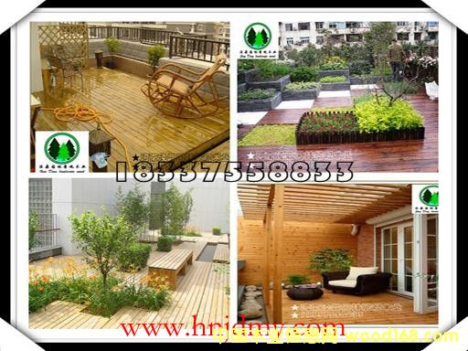 ����ľ��_ͥԺ�ذ��Ԕ��(x��)��B