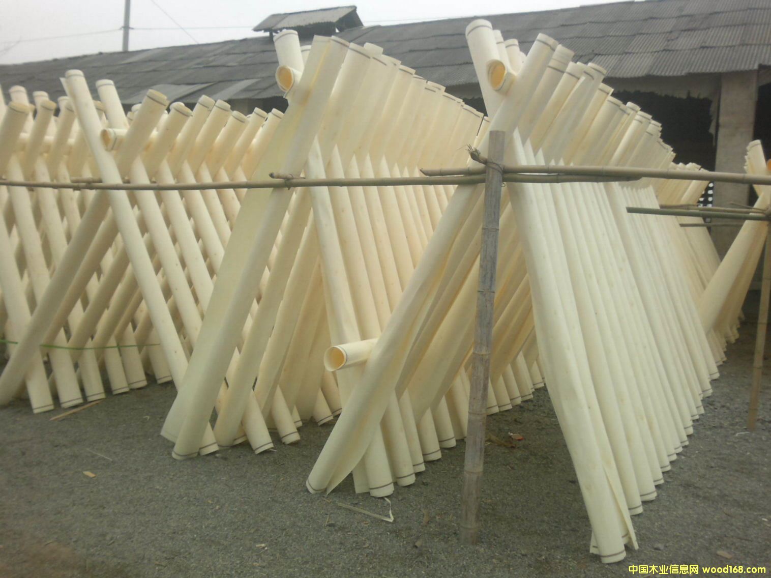 ��ľƯ����Ƥ��Ԕ����B