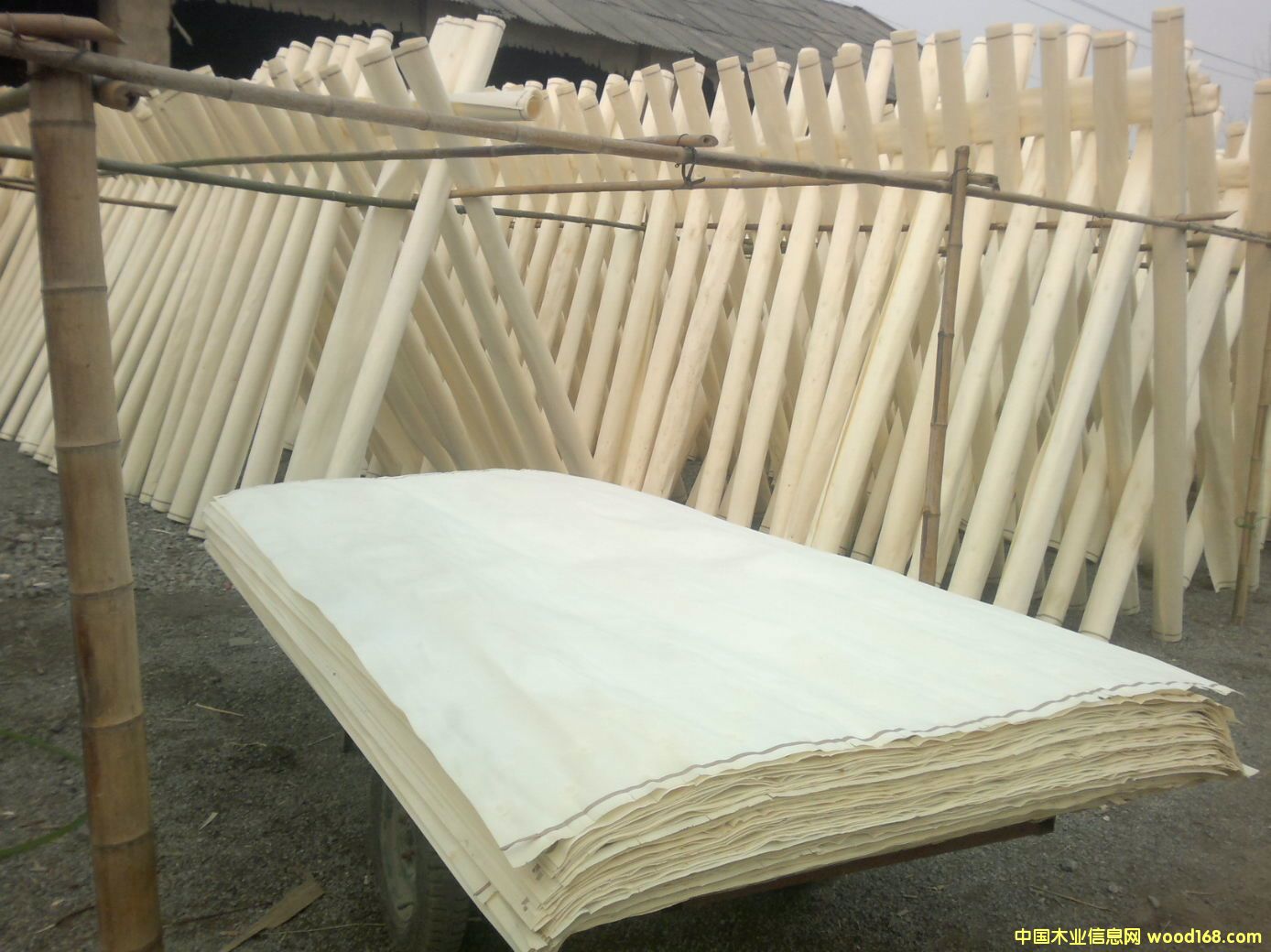 ��ľƯ�״�Ƥ