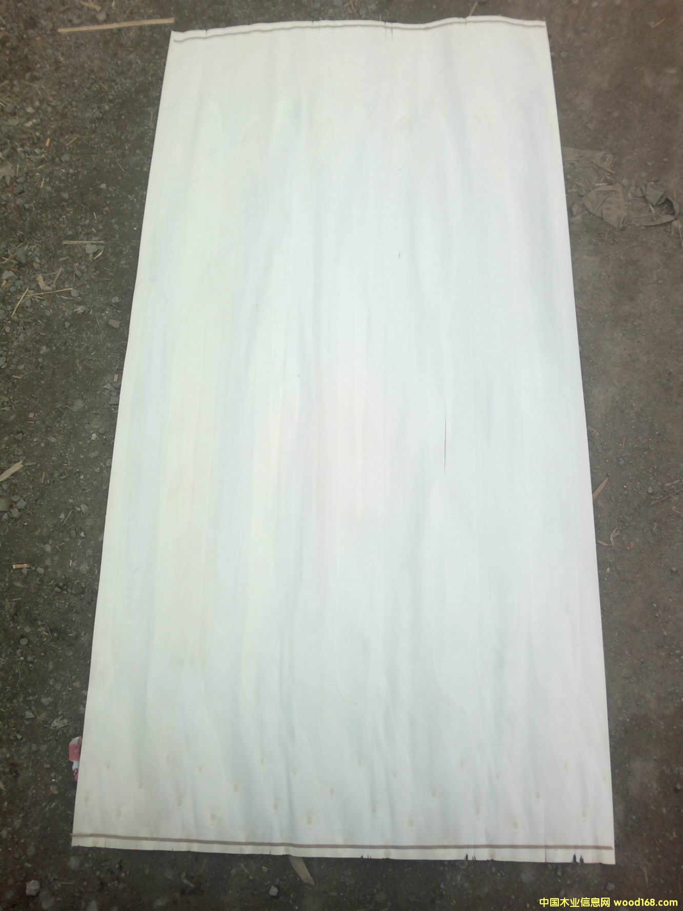 Ư�ח�ľ��Ƥ