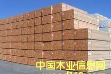 �����mݗ���ɵ�Ԕ����B