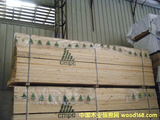 22 MM ݗ����