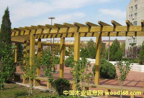 ����ľ��Ԕ����B