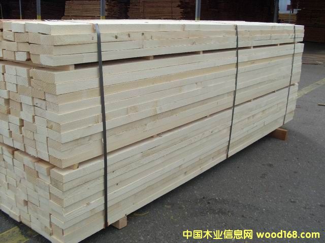 芬蘭松的詳細介紹