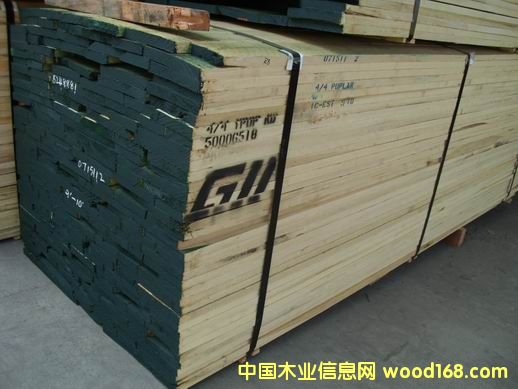 黃楊的詳細介紹