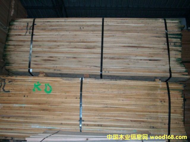 白橡的詳細介紹