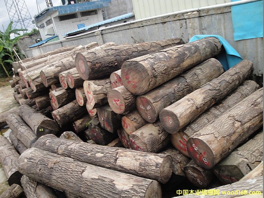 ˮ������Ƭ��