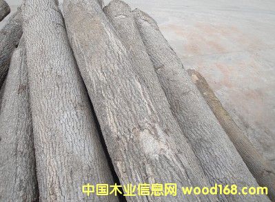 ˮ����ԭľ��Ԕ����B