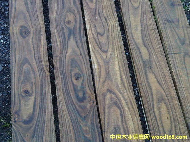 �_��С�~��˼ľ��Ԕ��(x��)��B