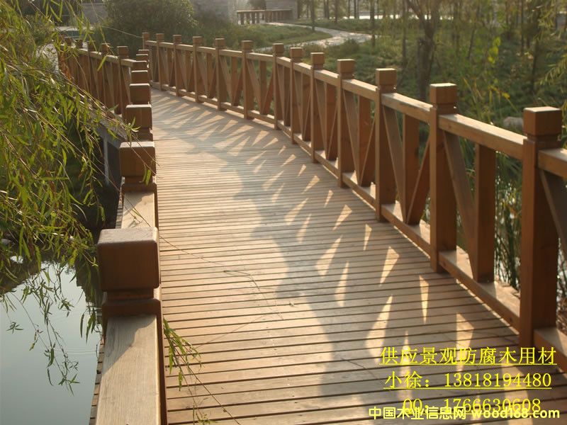 ���^����ľ��Ԕ��(x��)��B