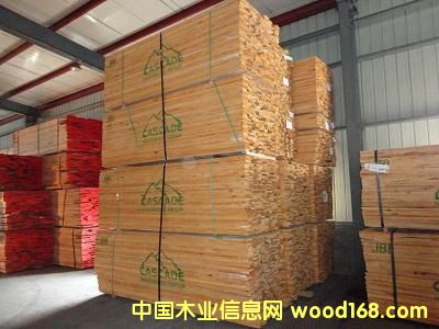 赤楊的詳細介紹