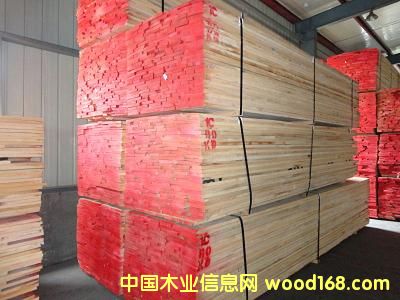 紅橡的詳細介紹