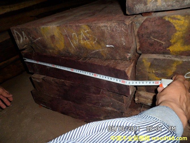 �t��֦��Ԕ��(x��)��B