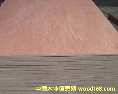 [��] 17���ľо�T�װ����p��ɰ����о�T�װ�S��