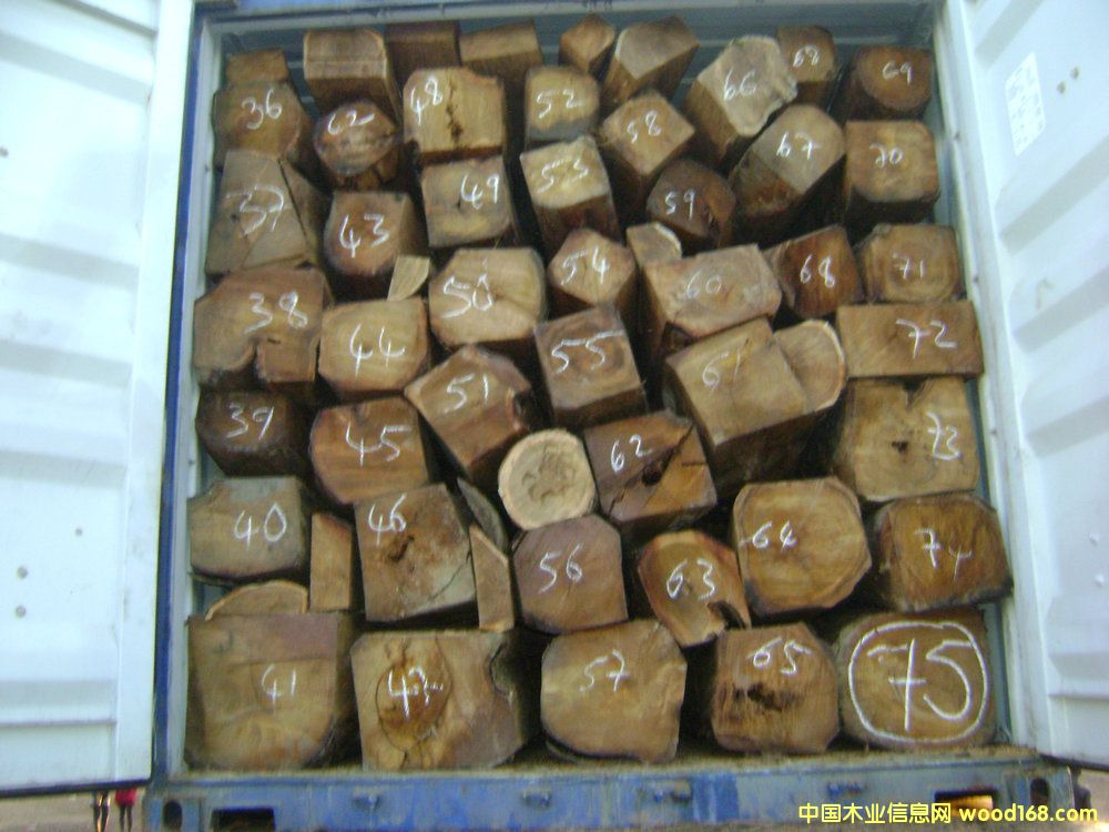 ���޴����̴��Ԕ��(x��)��B