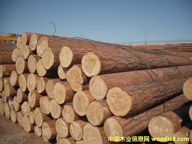 �tƤ���ɵ�Ԕ��(x��)��B