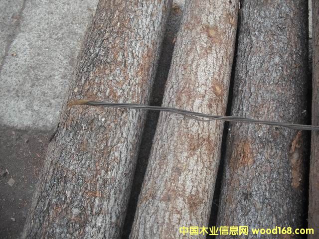 �~(y��)�[�ɵ�Ԕ��(x��)��B